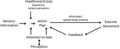 Evaluating the influence of feedback on motor skill learning and motor performance for children with developmental coordination disorder: a systematic review